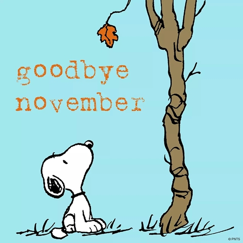 Goodbye November_500
