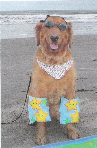 Granddog resized
