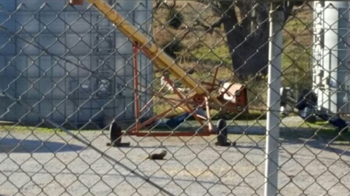 Groundhog in_city_limits_cropped_500