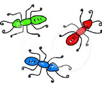 Insects resized