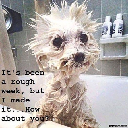 Its been_a_rough_week_450