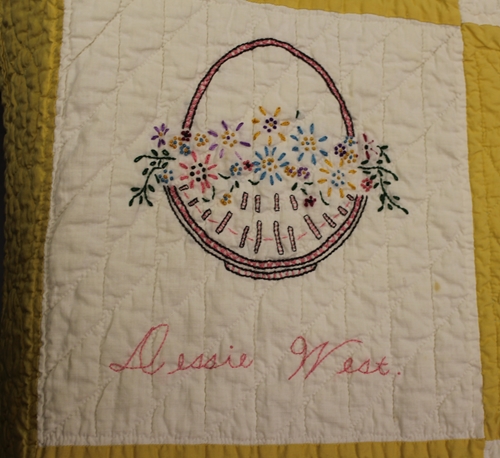 Latest photos_018_500