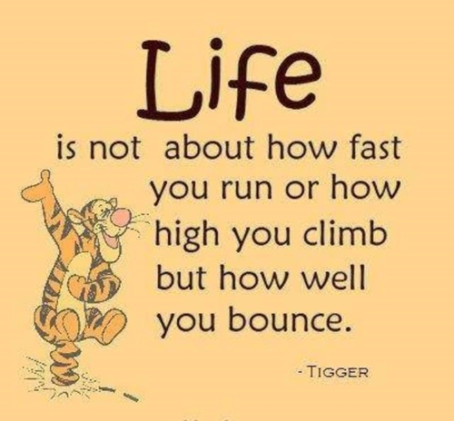 Life 500