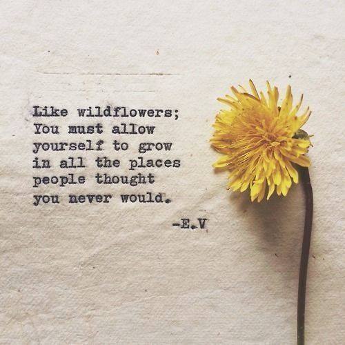 Like Wildflowers