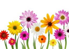 May flowers