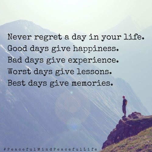 Never regret_a_day_500