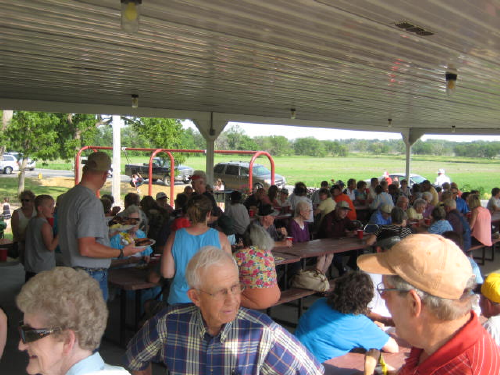 Nice Crowd