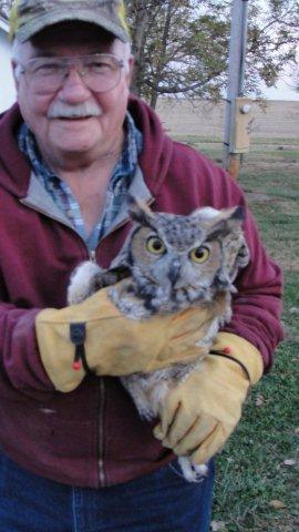 Norm and_owl
