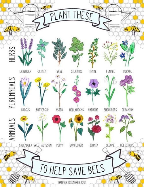 Plant These_500