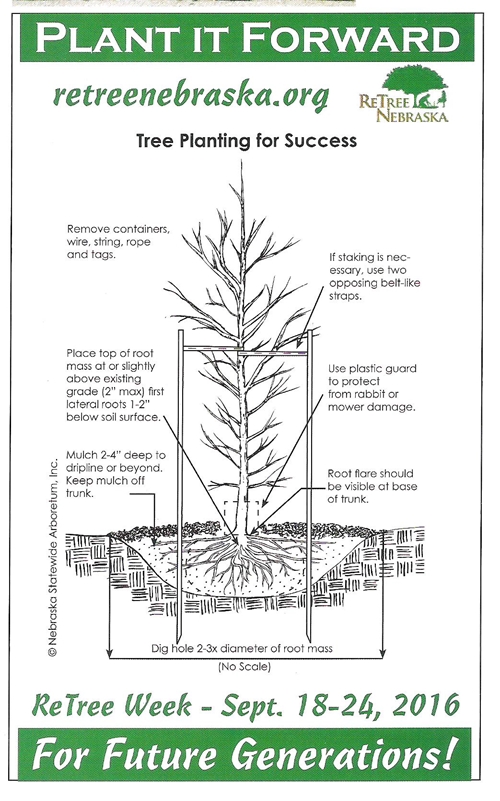 ReTree Nebraska_001_500