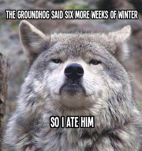 Six more_weeks_of_winter_500