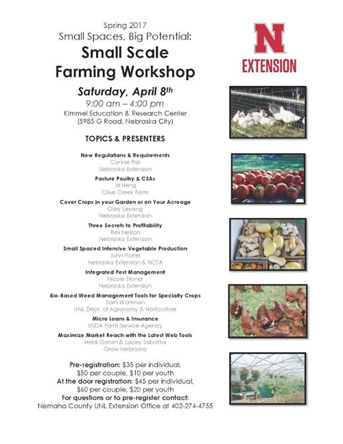 Small Scale_farming_500