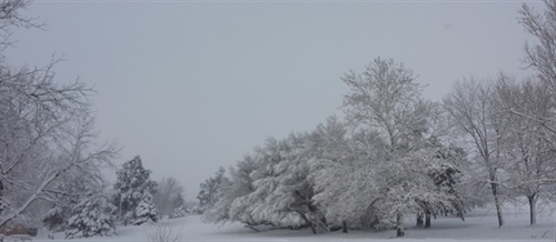 Snow 2_1_2015_500