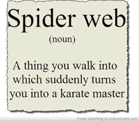 Spider web