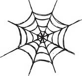 Spiderweb