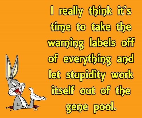 Stupidity 500