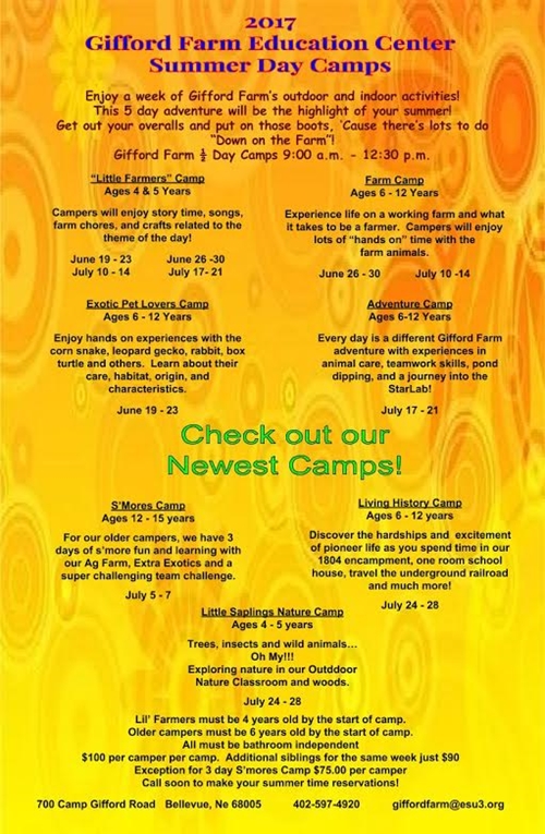 Summer Day_Camps_500