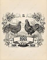 Vintage Eggs