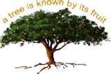 a_tree_is_known_by_its_fruit