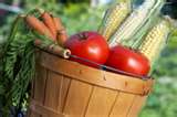 basket_of_vegetables