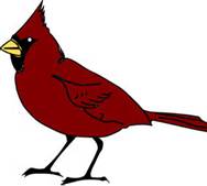 cardinal