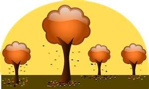 fall trees