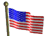 flag_wave