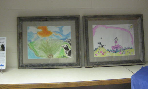 framed resized