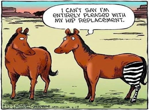 hip replacement_500