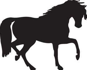 horse sillouette