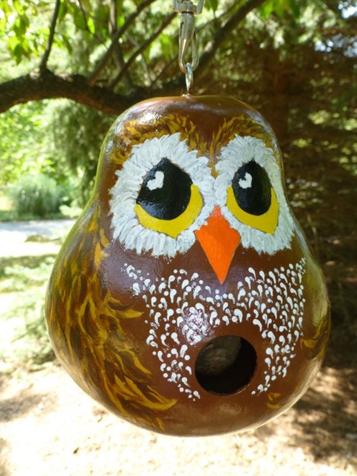 owl 500