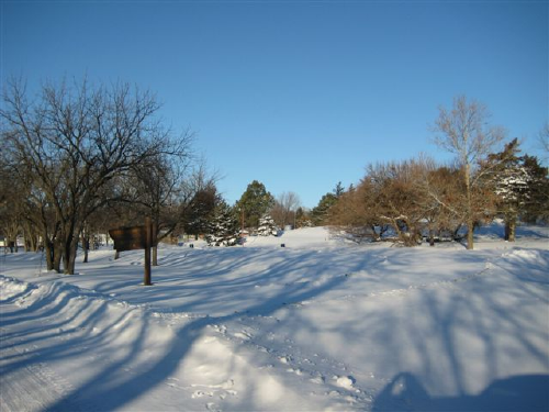 snow_at_the_park